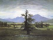 Caspar David Friedrich The Lone Tree (mk09`) oil painting on canvas